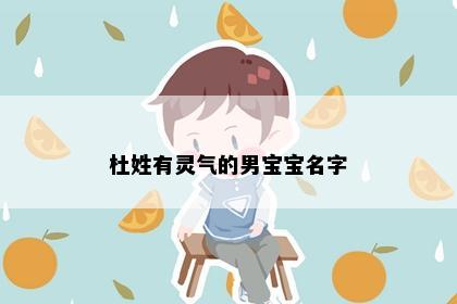 杜姓有灵气的男宝宝名字